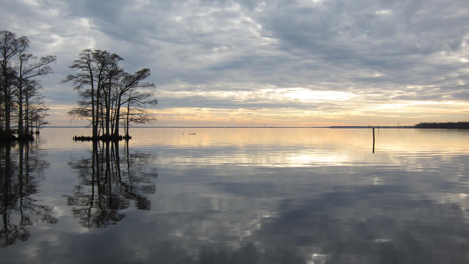 Edenton Bay sunset